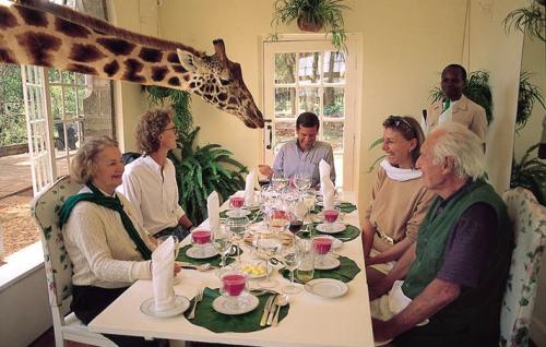 Who Invited The Giraffe.jpg (83 KB)